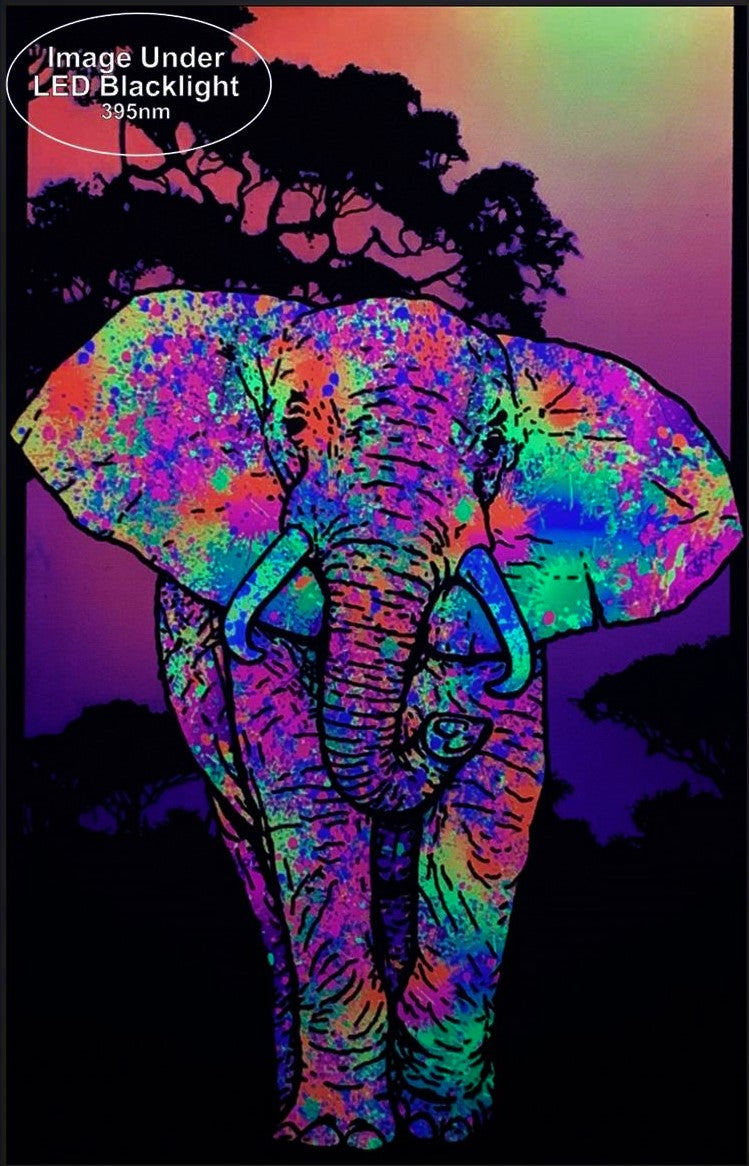 Painted Colorful Elephant - Black Light Poster