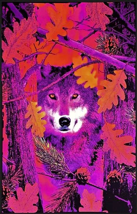 Autumn Wolf - Black Light Poster