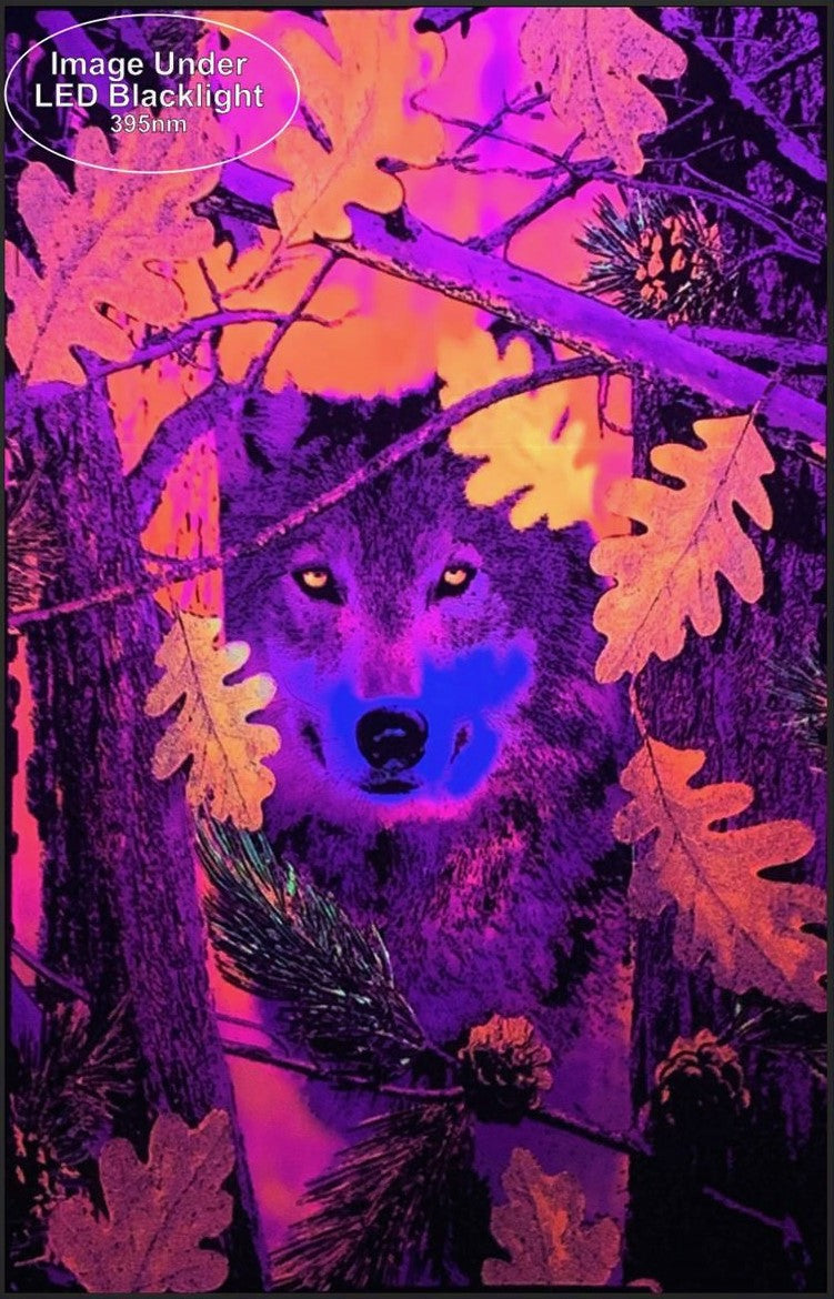 Autumn Wolf - Black Light Poster