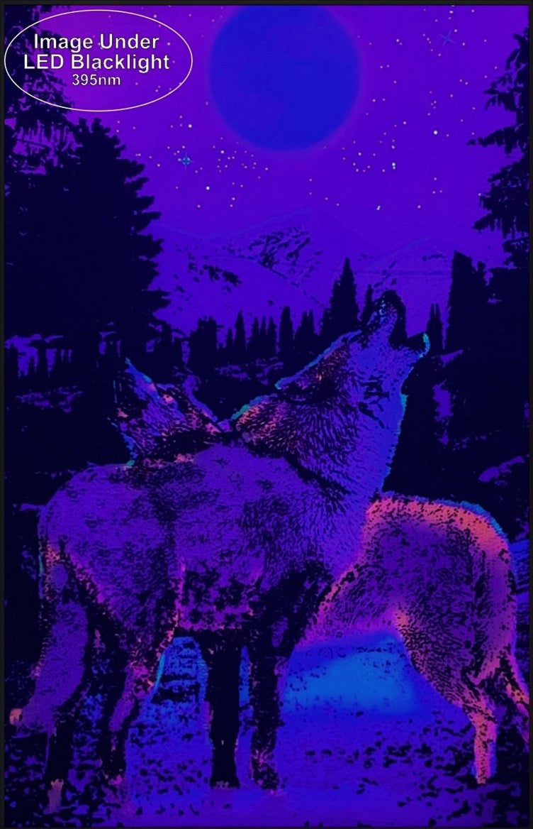 Timberwolves - Black Light Poster